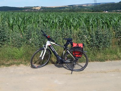 Fahrrad vor einem Maisfeld